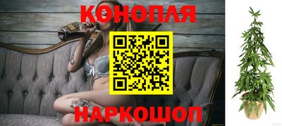 гидропоника Лесосибирск