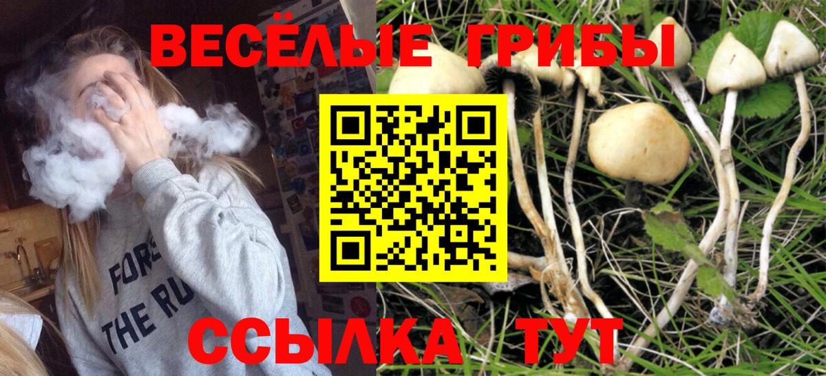 Галлюциногенные грибы Cubensis  Вход с VPN  Югорск 